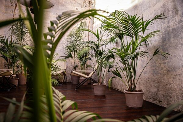 villa resort spa